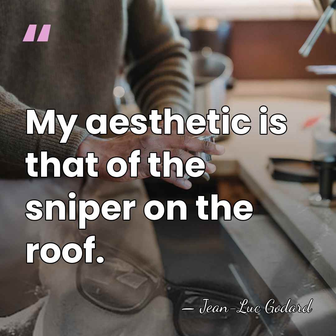 My aesthetic is that of the sniper on the roof. - Jean-Luc Godard