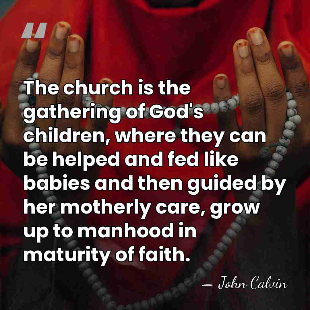 The church is the gathering of God's children, where they can be&hellip; - John Calvin