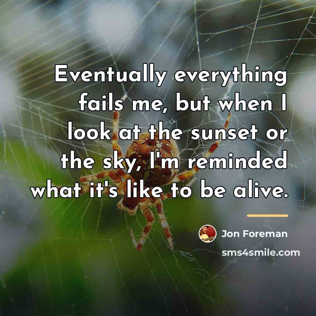 “Eventually everything fails me, but when I look at the…” quote by Jon Foreman