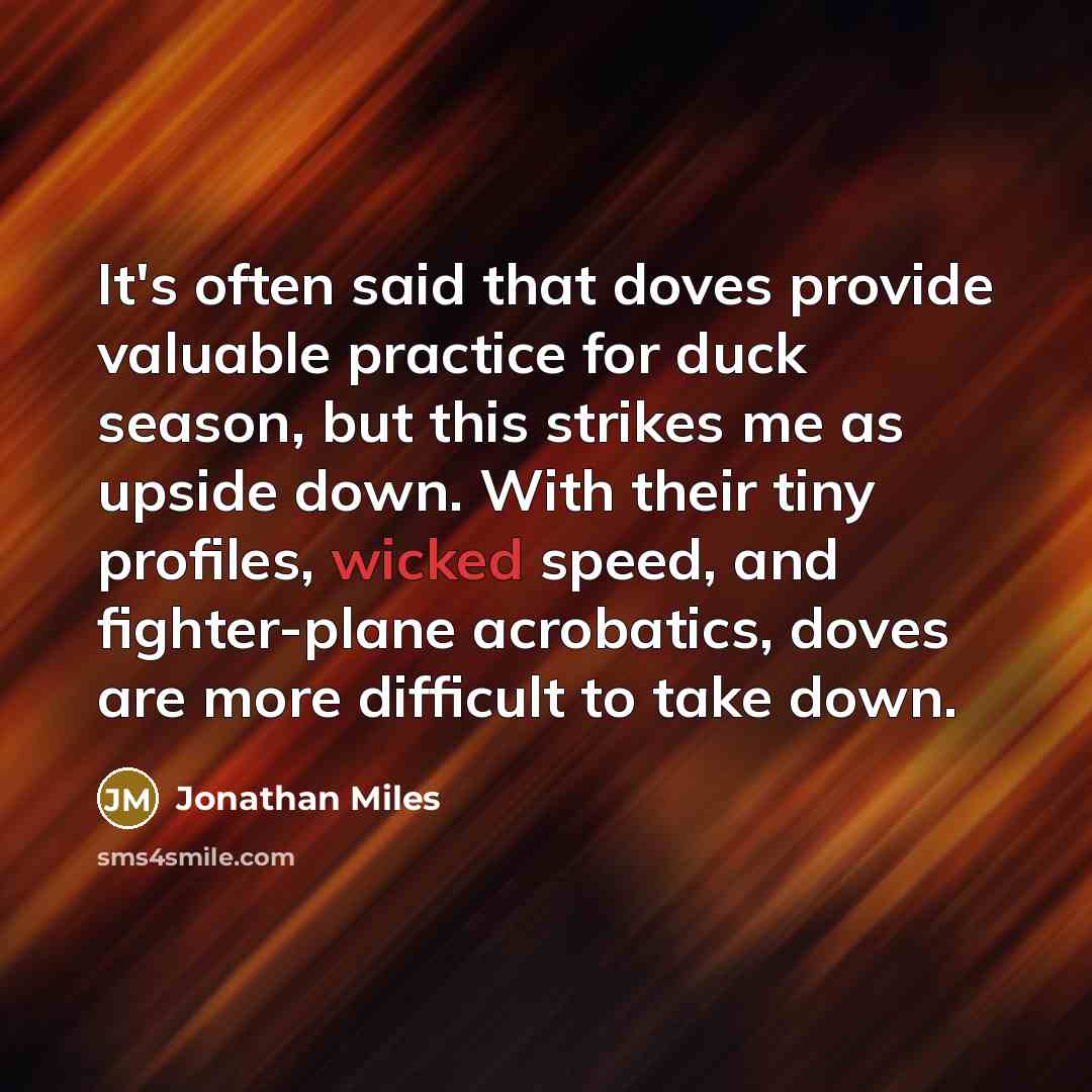 “It's often said that doves provide valuable practice for duck season, but this strikes me as upside down. With their tiny profiles, wicked speed, and fighter-plane acrobatics, doves are more difficult to take down.” quote by Jonathan Miles