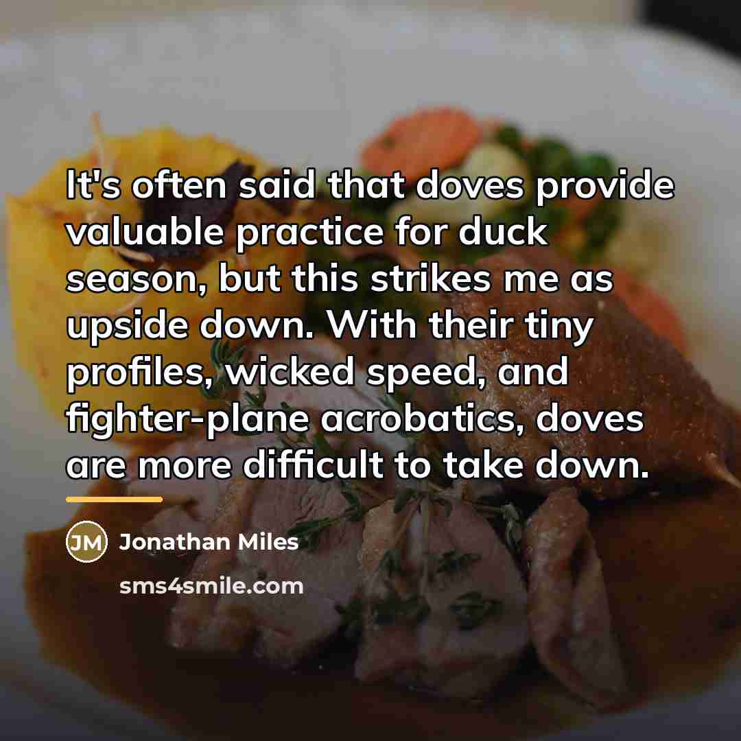 “It's often said that doves provide valuable practice for duck…” quote by Jonathan Miles