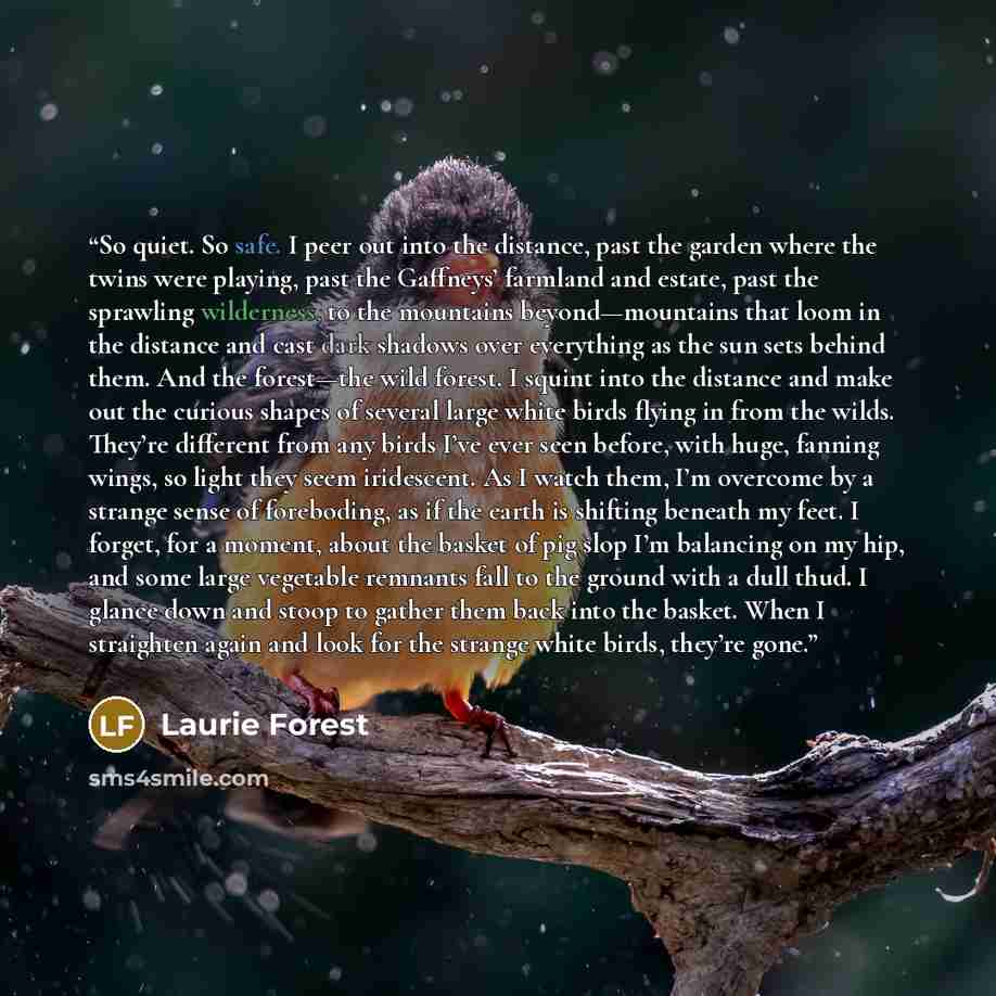 “So quiet. So safe. I peer out into the distance, past the garden where the twins were playing, past the Gaffneys’ farmland and estate, past the sprawling wilderness, to the mountains beyond—mountains that loom in the distance and cast dark shadows over everything as the sun sets behind them. And…” quote by Laurie Forest