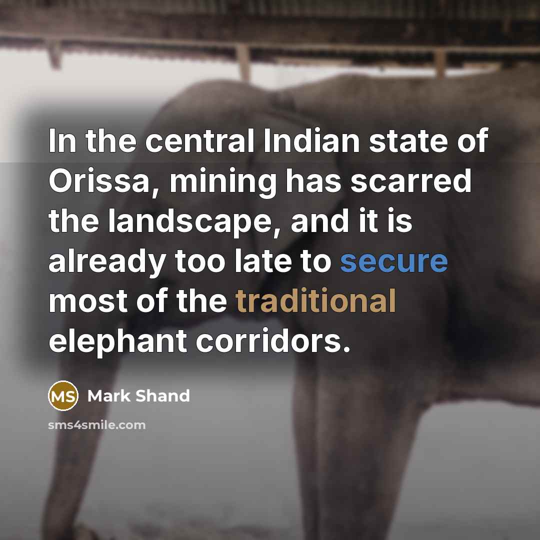“In the central Indian state of Orissa, mining has scarred…” quote by Mark Shand