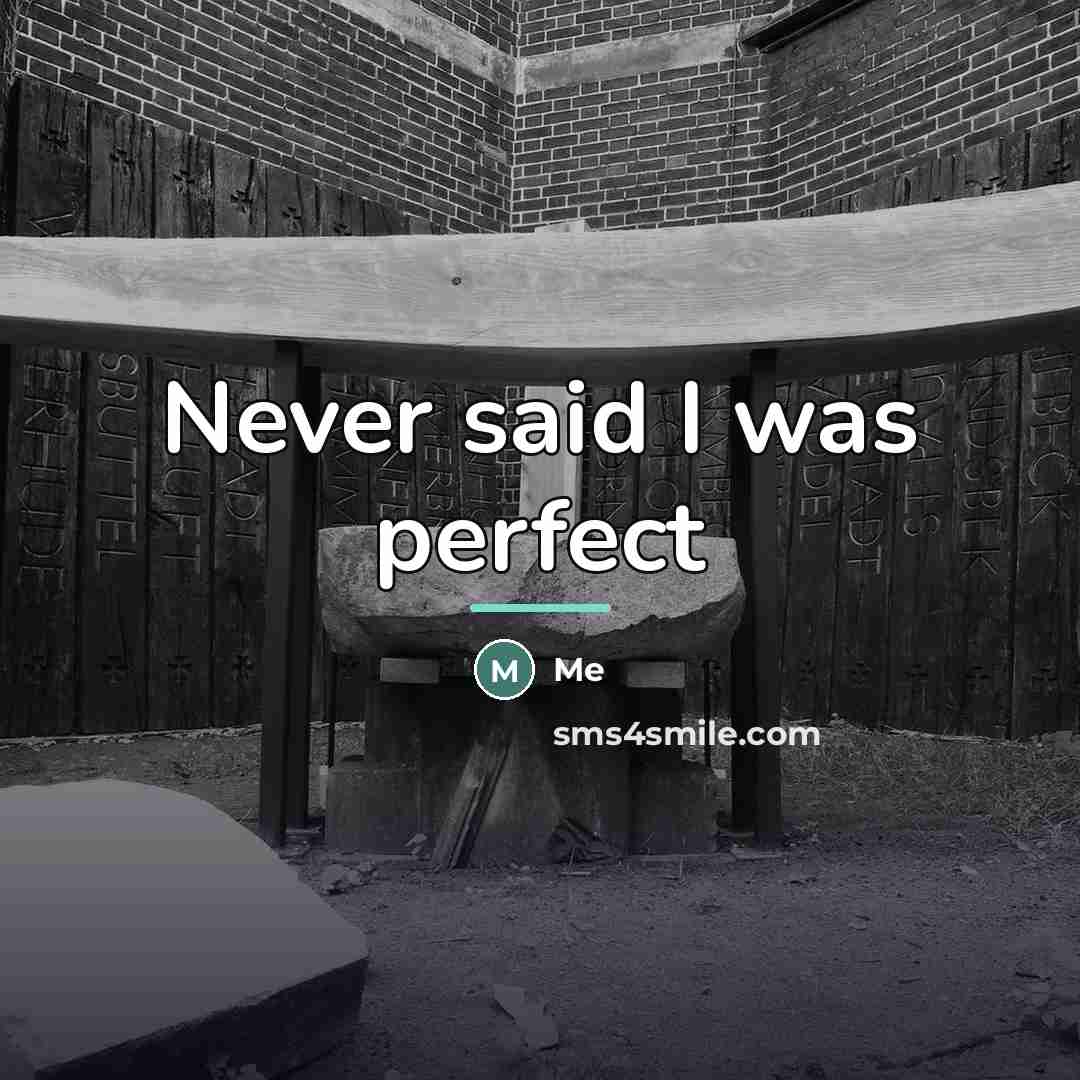 “Never said I was perfect…” quote by Me