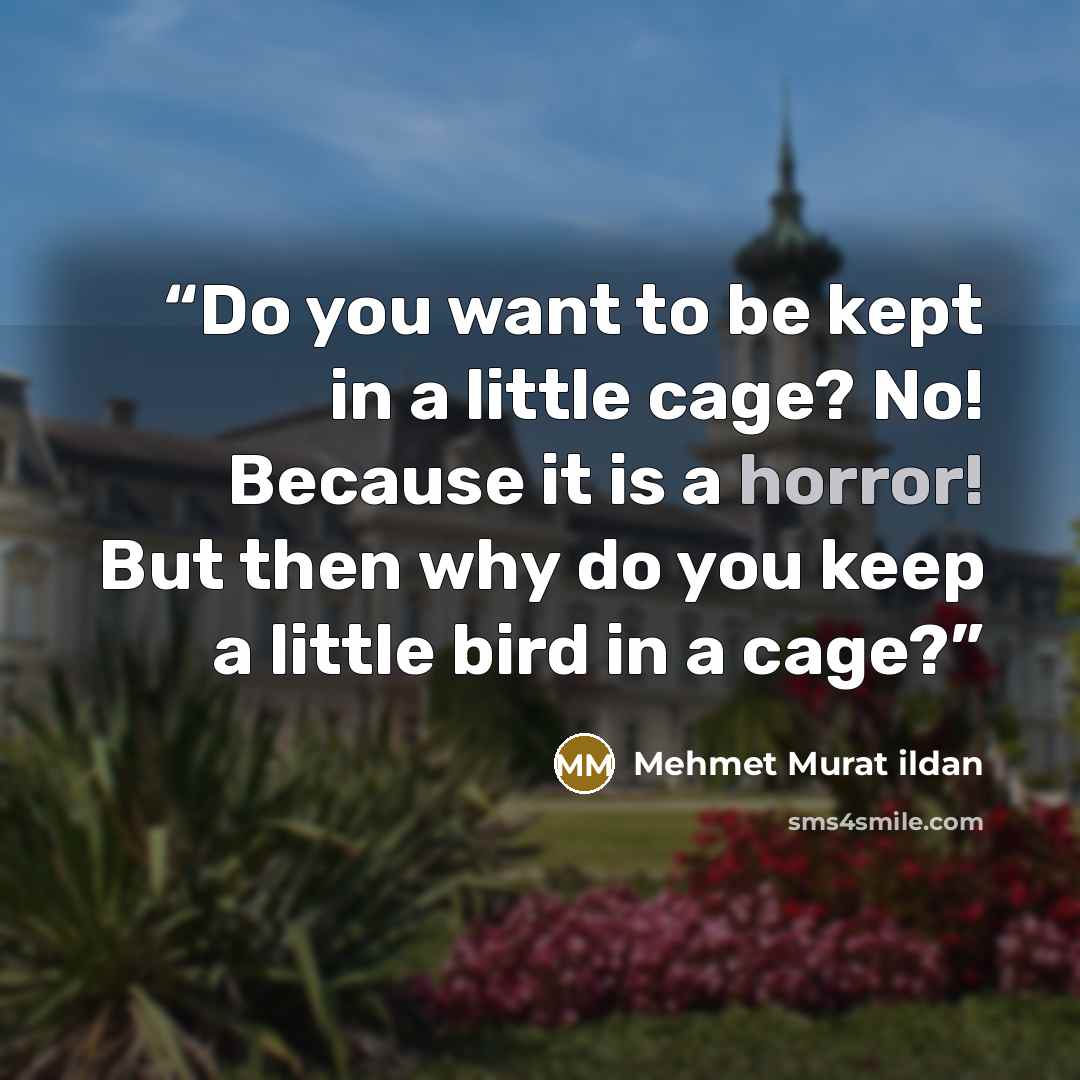 “Do you want to be kept in a little cage? No! Because it is a horror! But then why do you keep a little bird in a cage?” quote by Mehmet Murat ildan