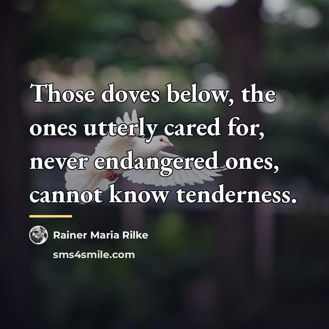 “Those doves below, the ones utterly cared for, never endangered…” quote by Rainer Maria Rilke