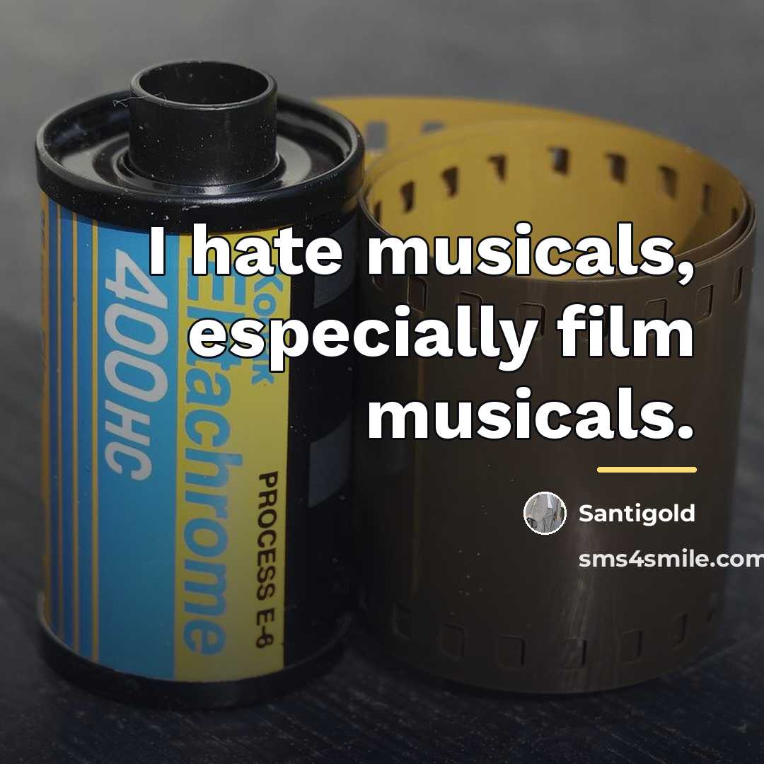 “I hate musicals, especially film musicals.…” quote by Santigold