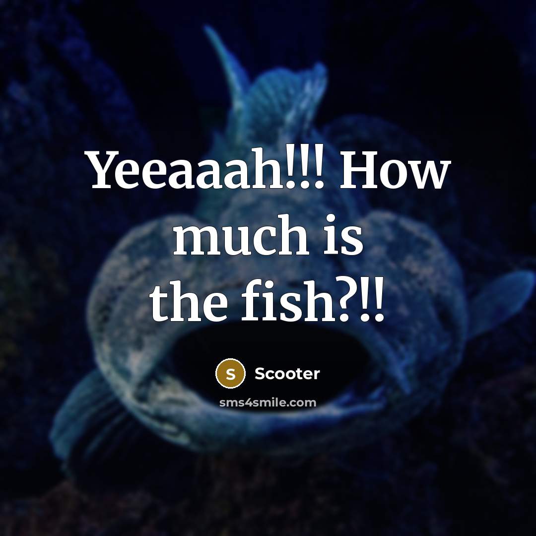 “Yeeaaah!!! How much is the fish?!!…” quote by Scooter