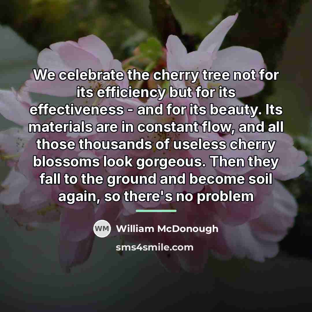 “We celebrate the cherry tree not for its efficiency but…” quote by William McDonough