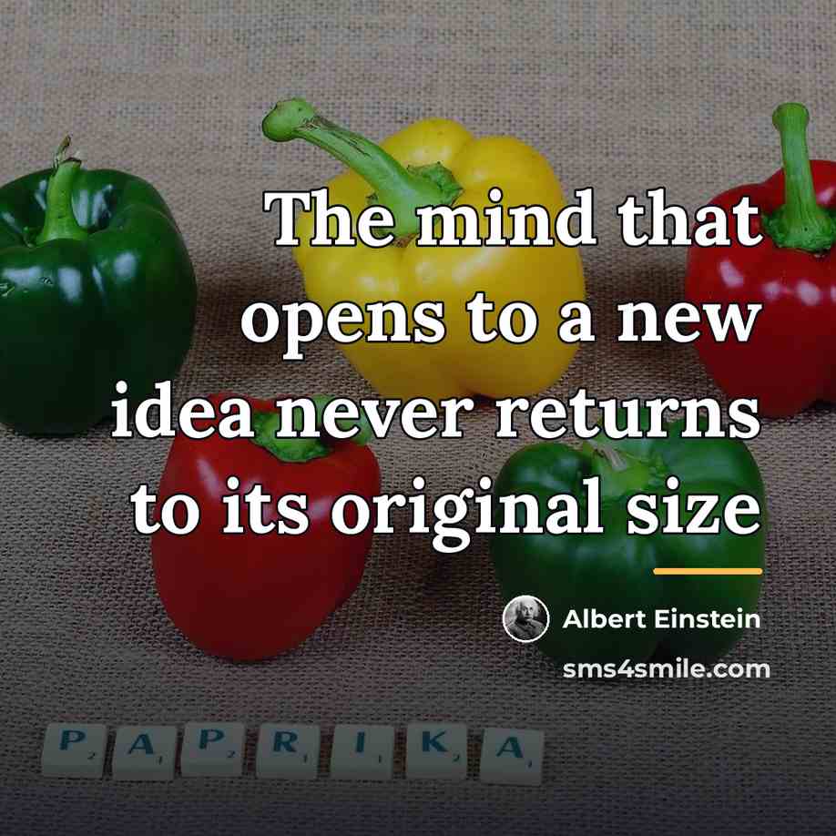 “The mind that opens to a new idea never returns…” quote by Albert Einstein