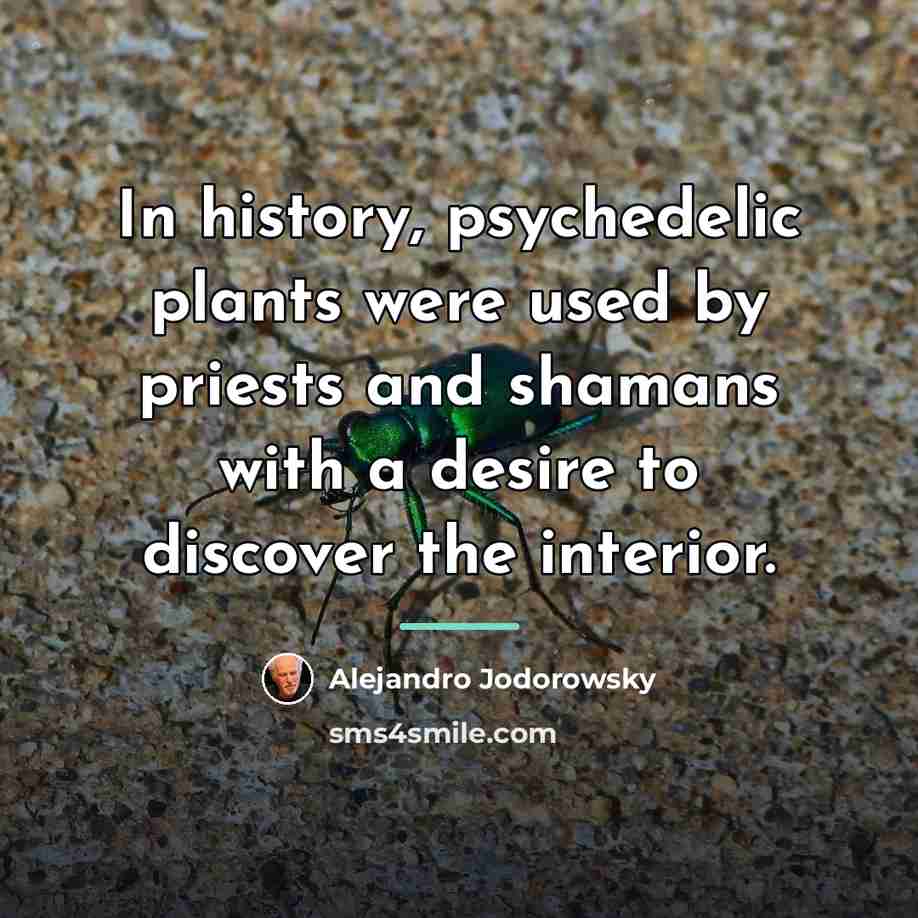 “In history, psychedelic plants were used by priests and shamans…” quote by Alejandro Jodorowsky