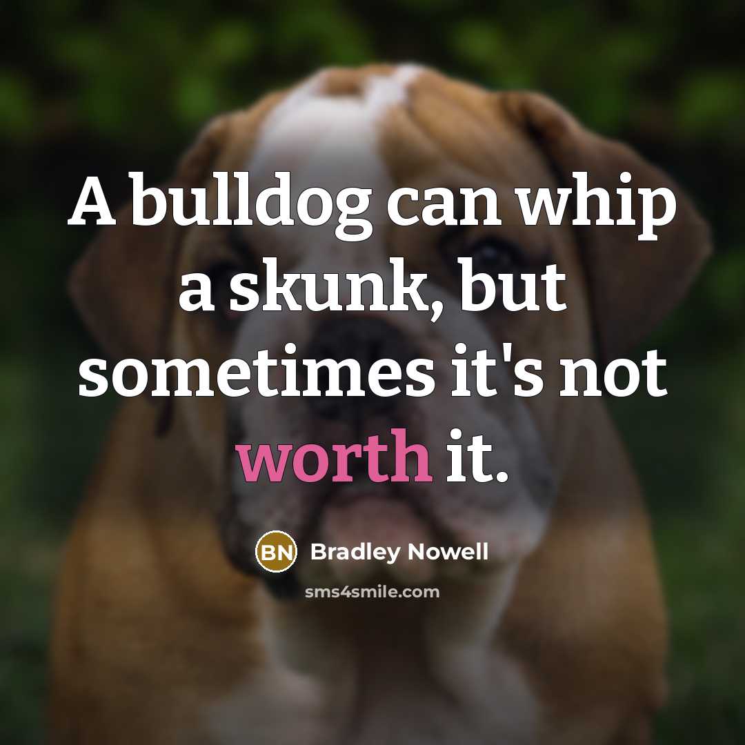 “A bulldog can whip a skunk, but sometimes it's not worth it.” quote by Bradley Nowell