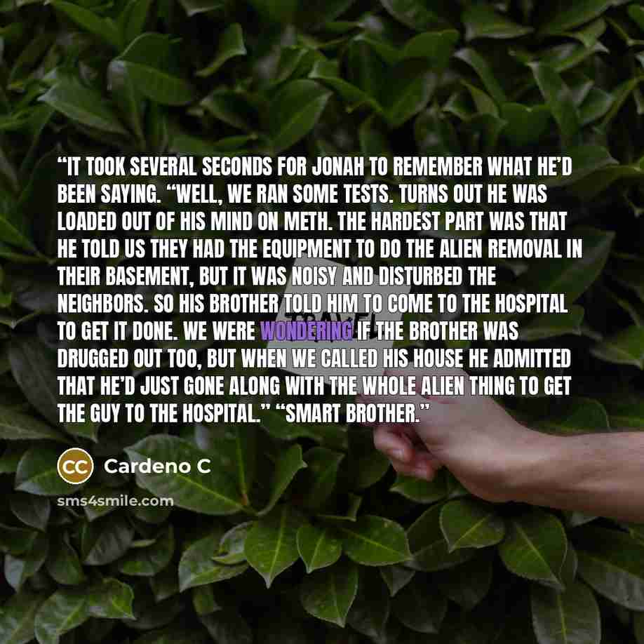 “It took several seconds for Jonah to remember what he’d been saying. “Well, we ran some tests. Turns out he was loaded out of his mind on meth. The hardest part was that he told us they had the equipment to do the alien removal in their basement, but it was noisy and disturbed the neighbors. So…” quote by Cardeno C