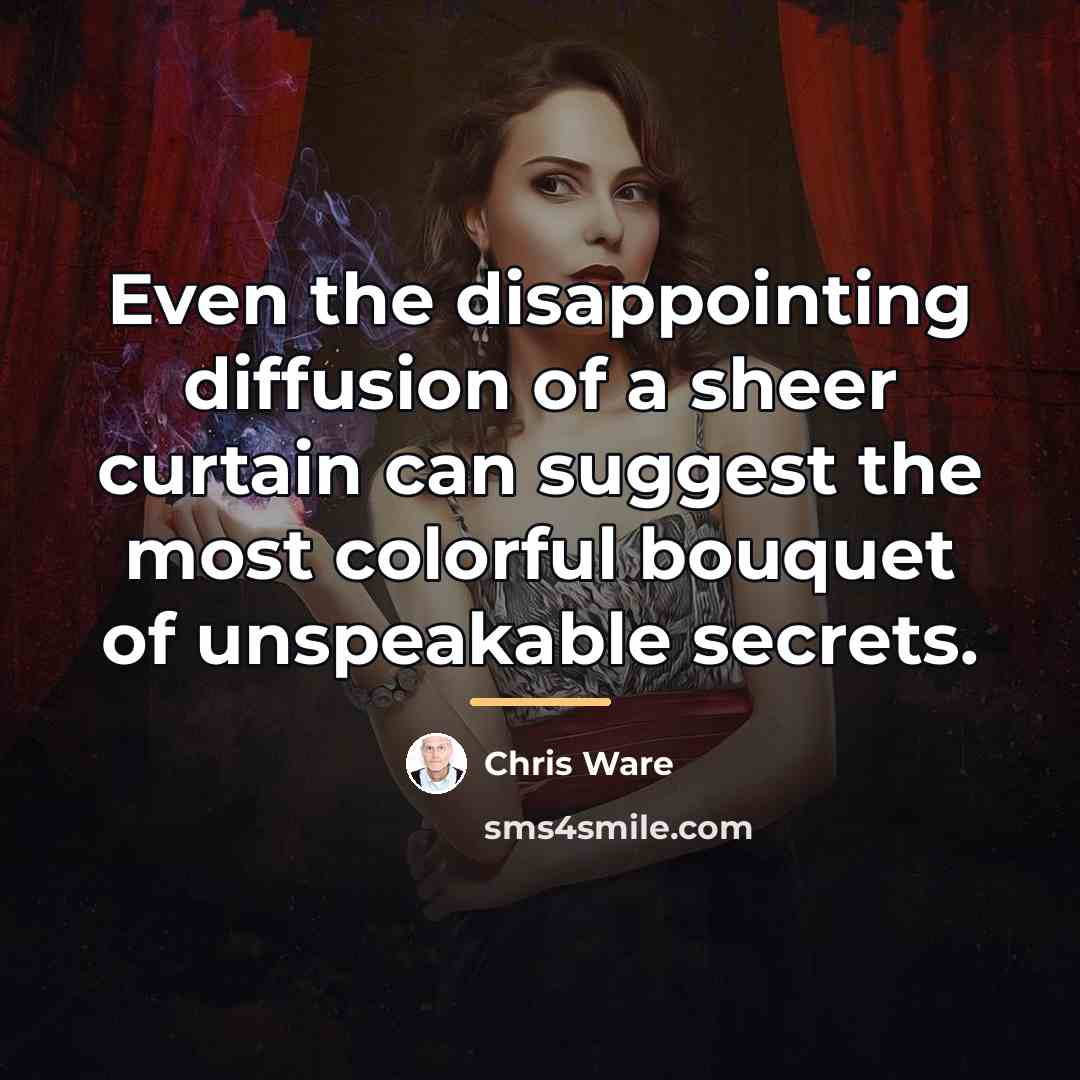 “Even the disappointing diffusion of a sheer curtain can suggest…” quote by Chris Ware