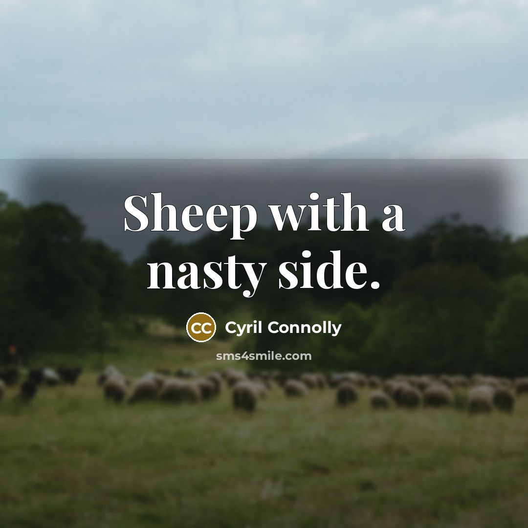 “Sheep with a nasty side.…” quote by Cyril Connolly
