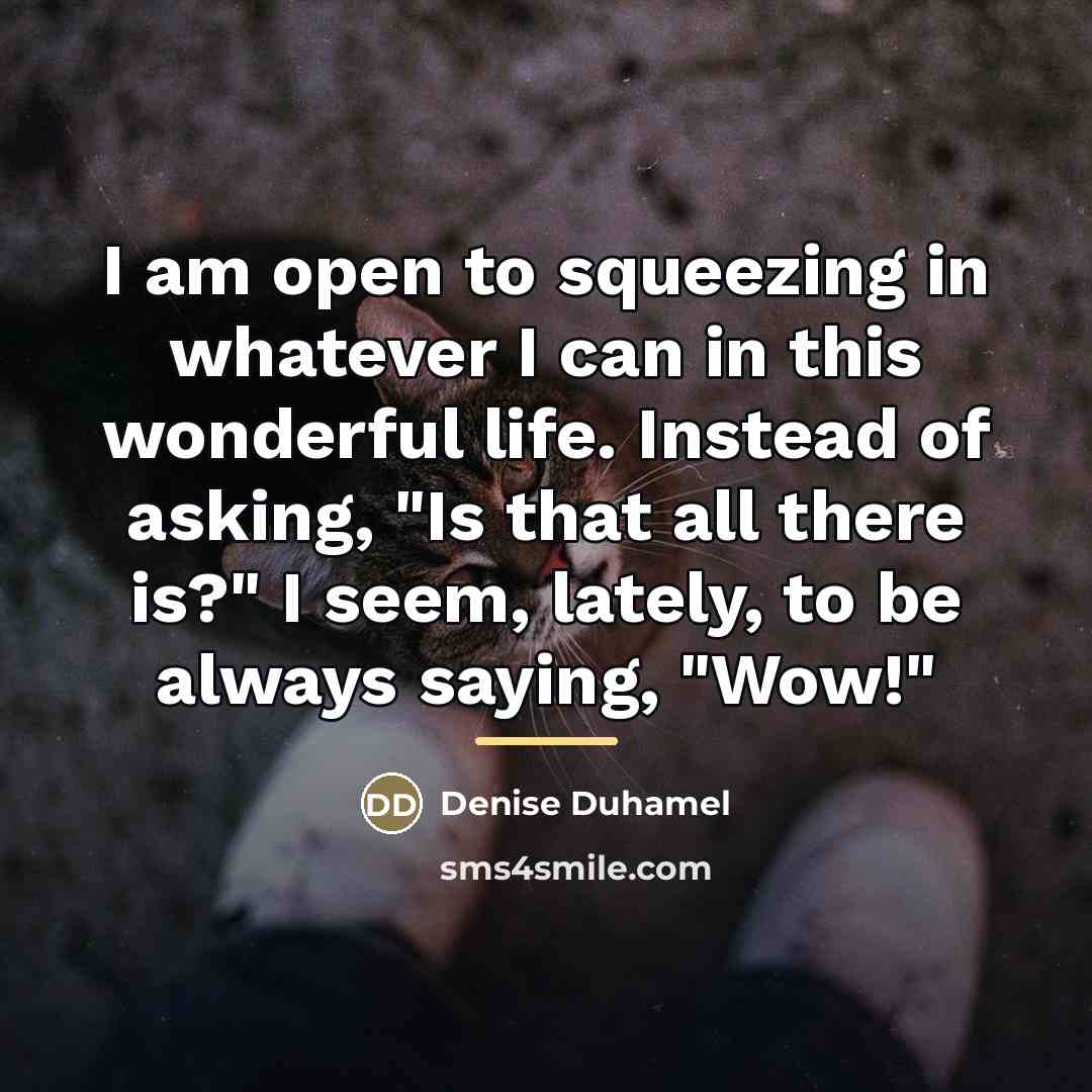 “I am open to squeezing in whatever I can in…” quote by Denise Duhamel