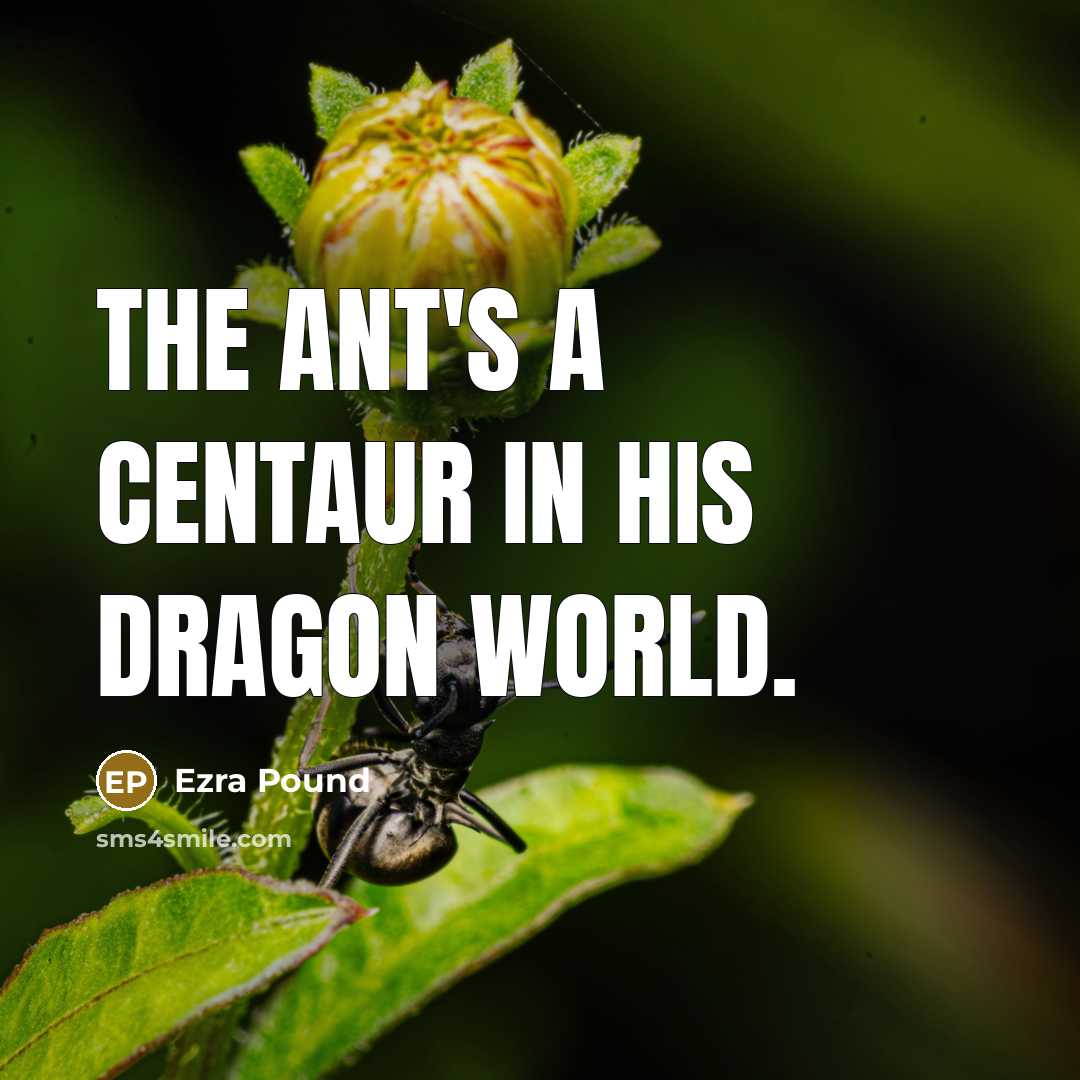 “The ant's a centaur in his dragon world.…” quote by Ezra Pound