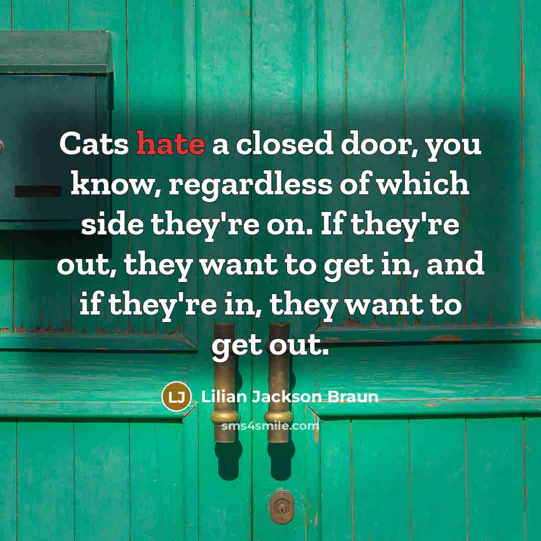 “Cats hate a closed door, you know, regardless of which…” quote by Lilian Jackson Braun