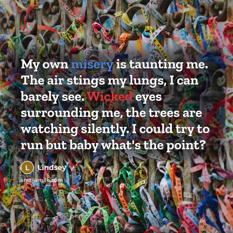 “My own misery is taunting me. The air stings my…” quote by Lindsey