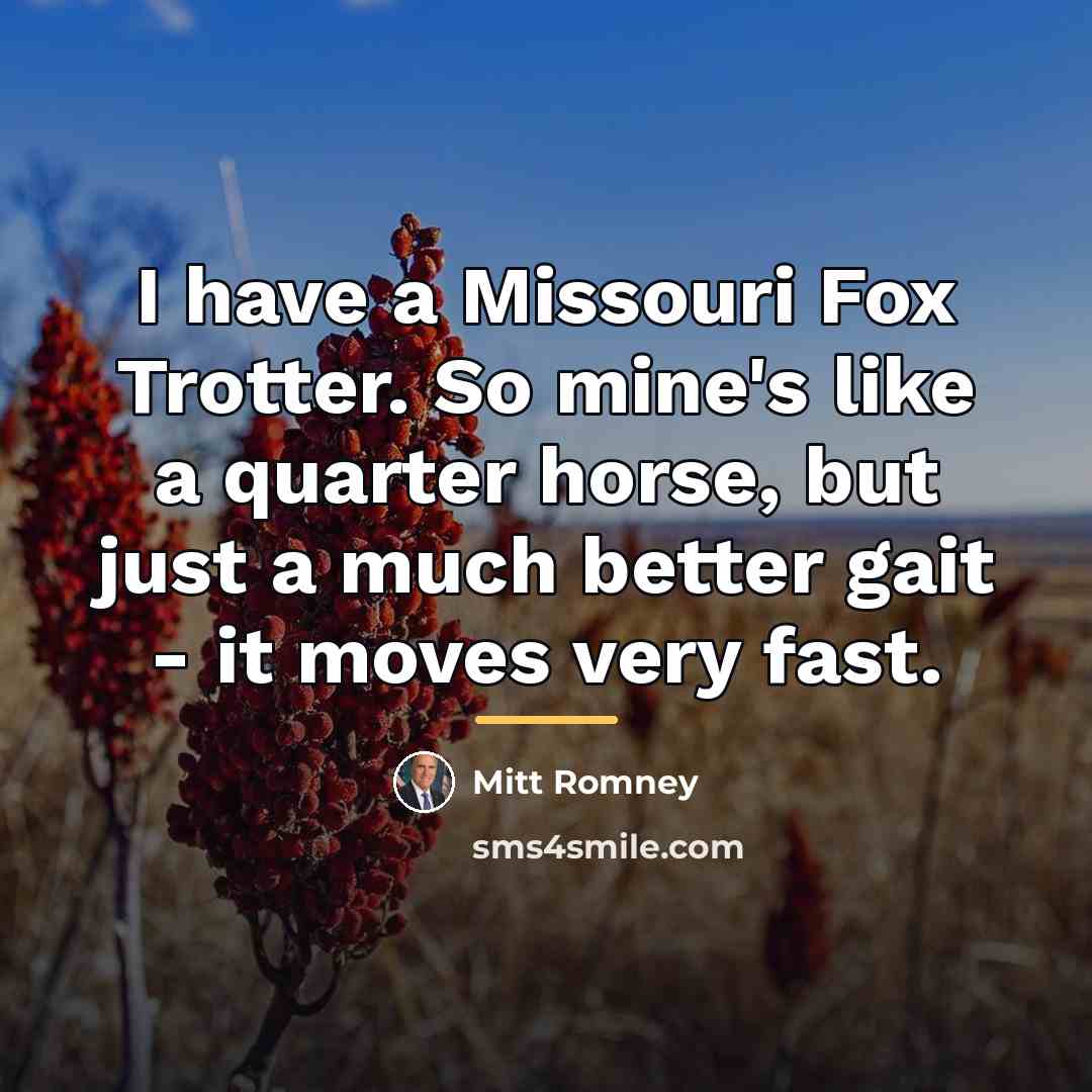 “I have a Missouri Fox Trotter. So mine's like a…” quote by Mitt Romney