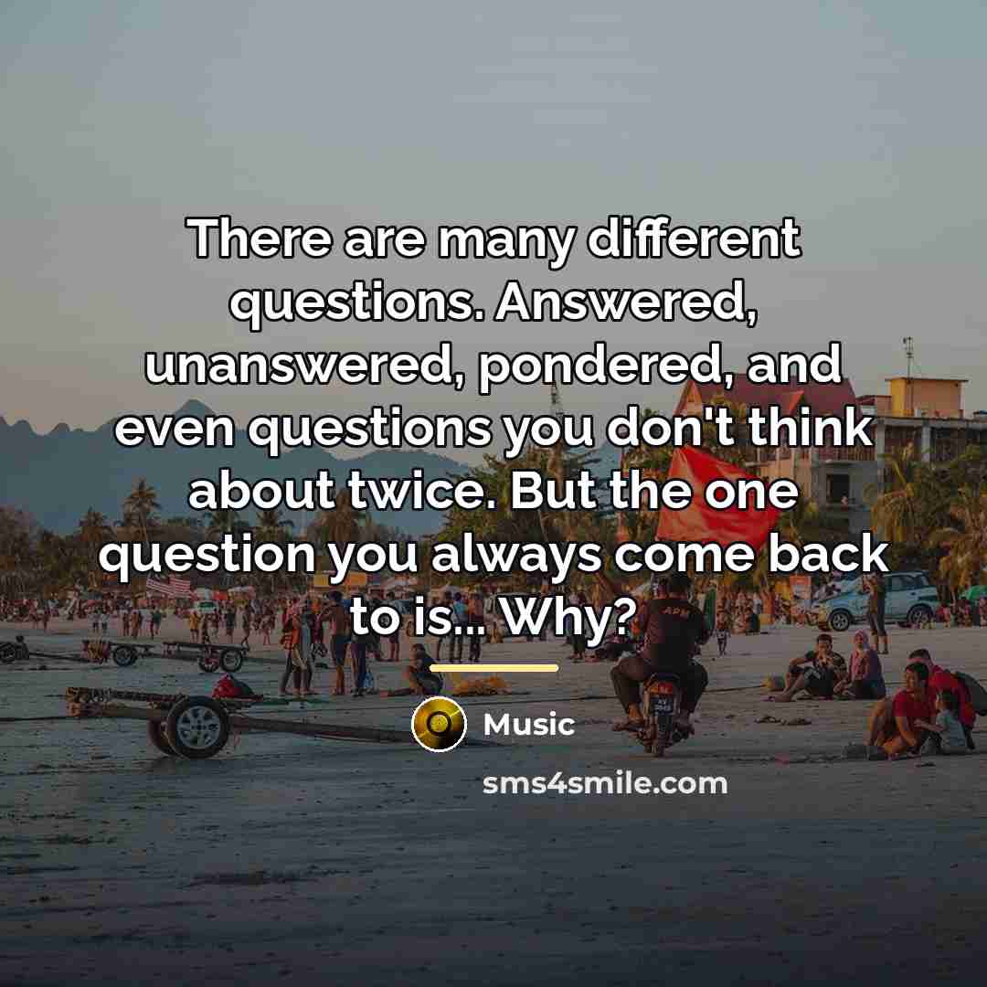 “There are many different questions. Answered, unanswered, pondered, and even…” quote by Music
