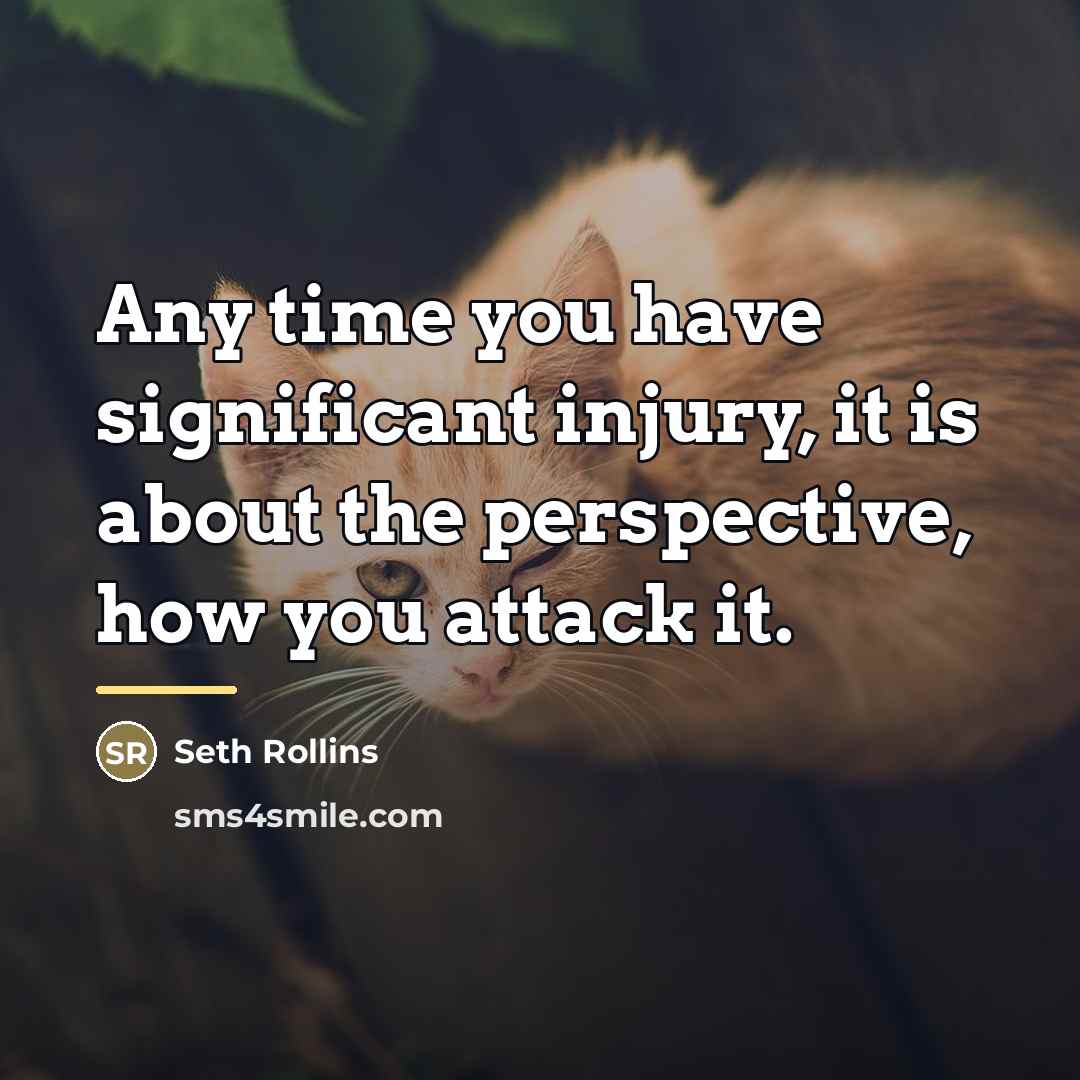“Any time you have significant injury, it is about the…” quote by Seth Rollins