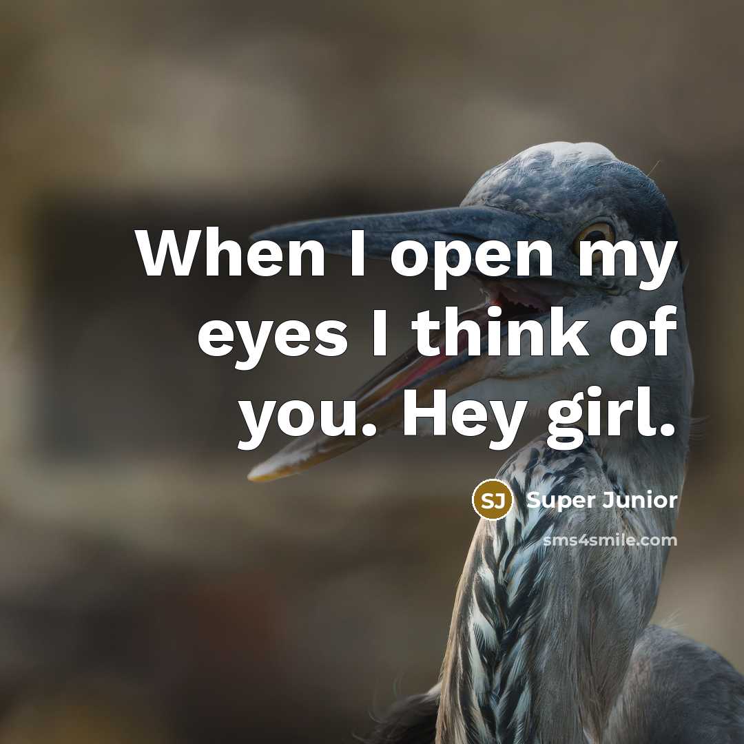 “When I open my eyes I think of you. Hey…” quote by Super Junior