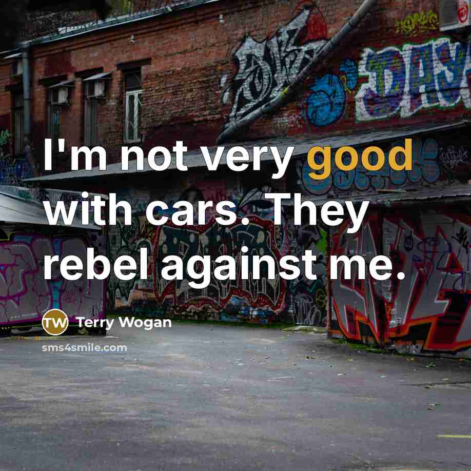 “I'm not very good with cars. They rebel against me.…” quote by Terry Wogan
