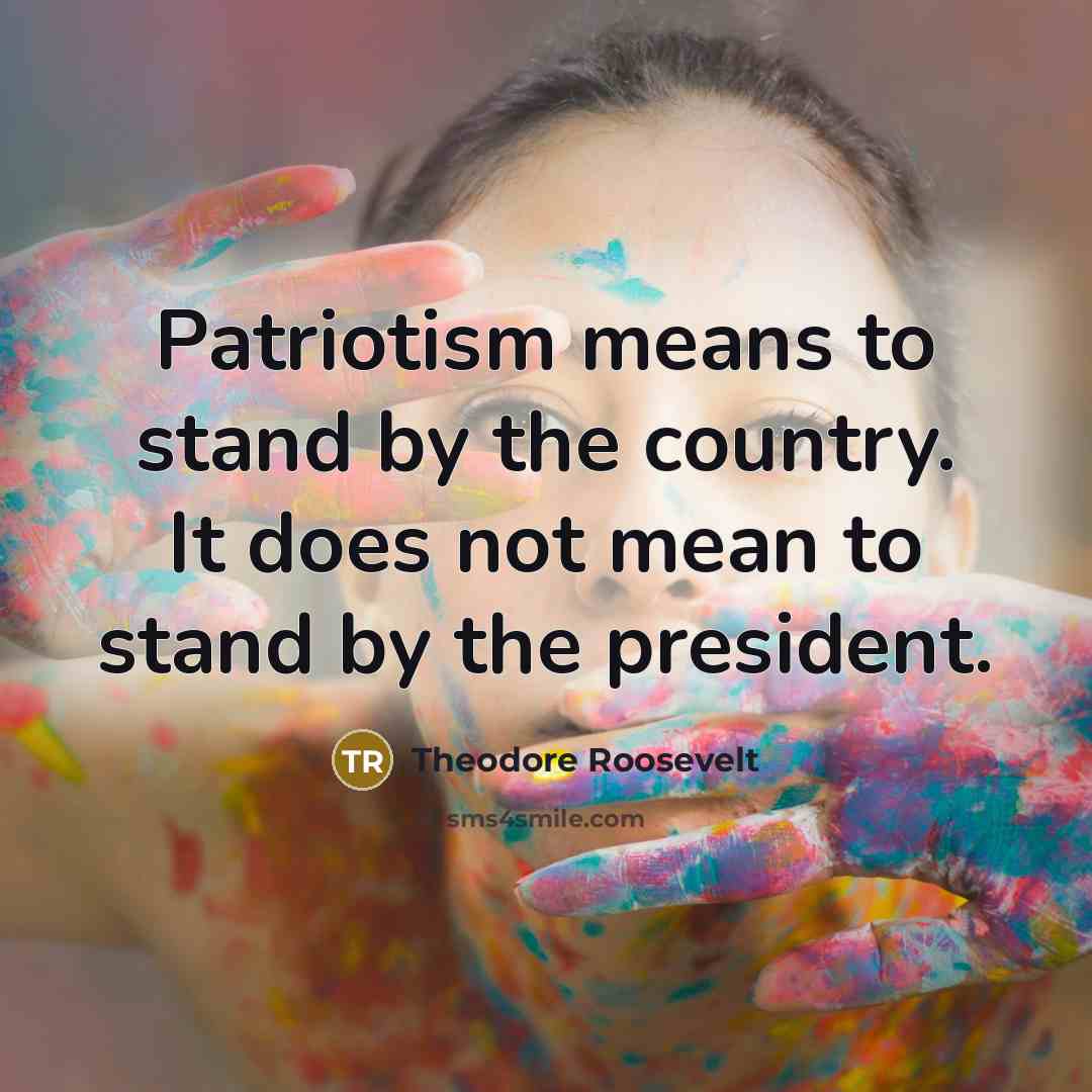 “Patriotism means to stand by the country. It does not…” quote by Theodore Roosevelt