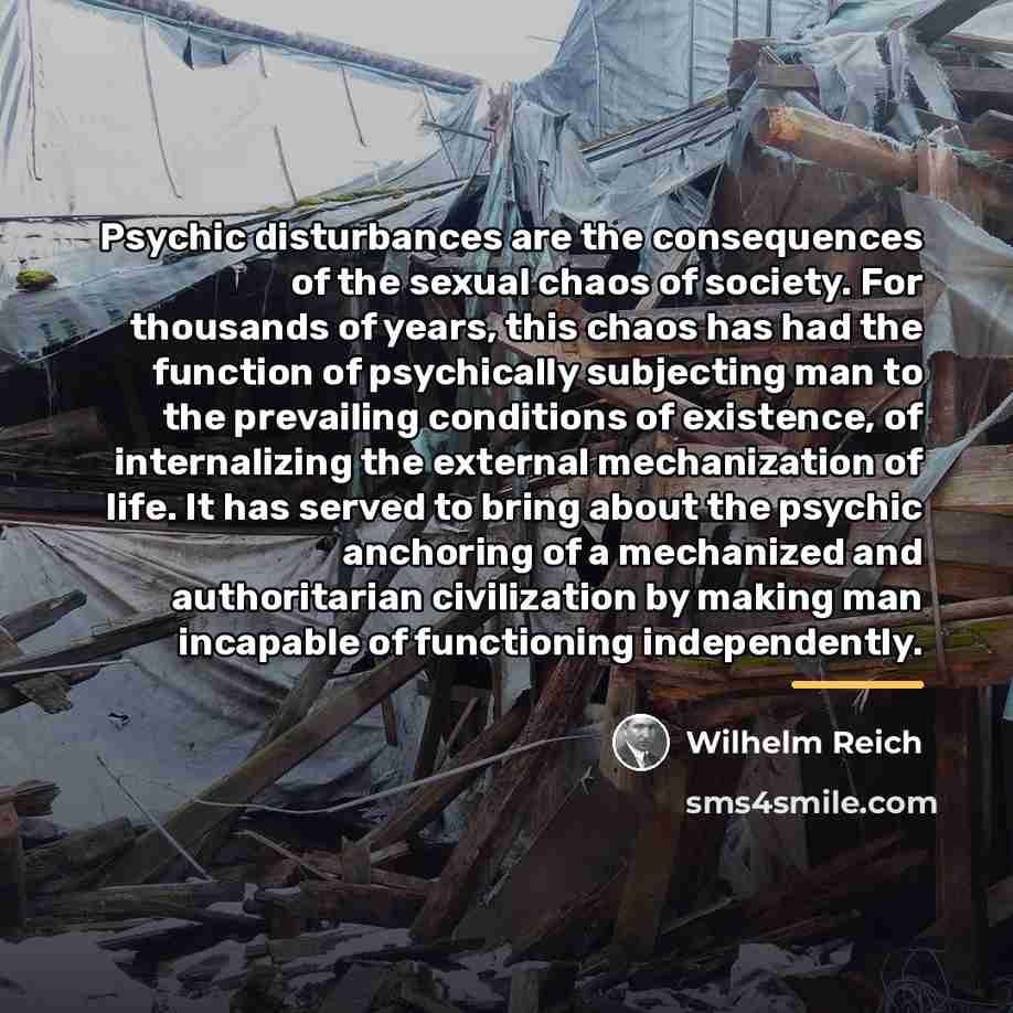 “Psychic disturbances are the consequences of the sexual chaos of…” quote by Wilhelm Reich