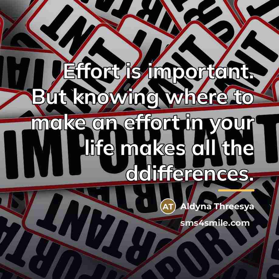“Effort is important. But knowing where to make an effort…” quote by Aldyna Threesya