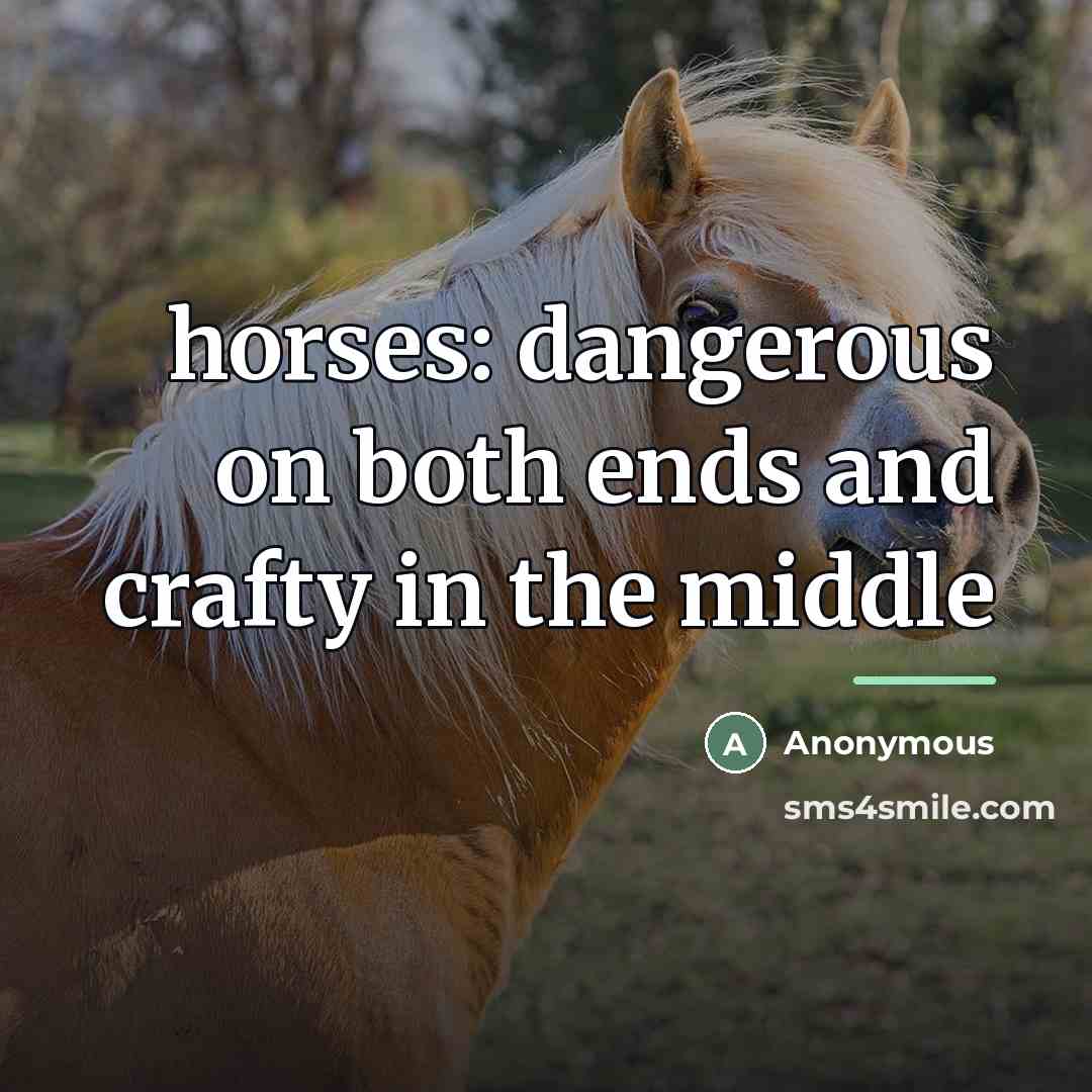 “horses: dangerous on both ends and crafty in the middle…” quote by Anonymous