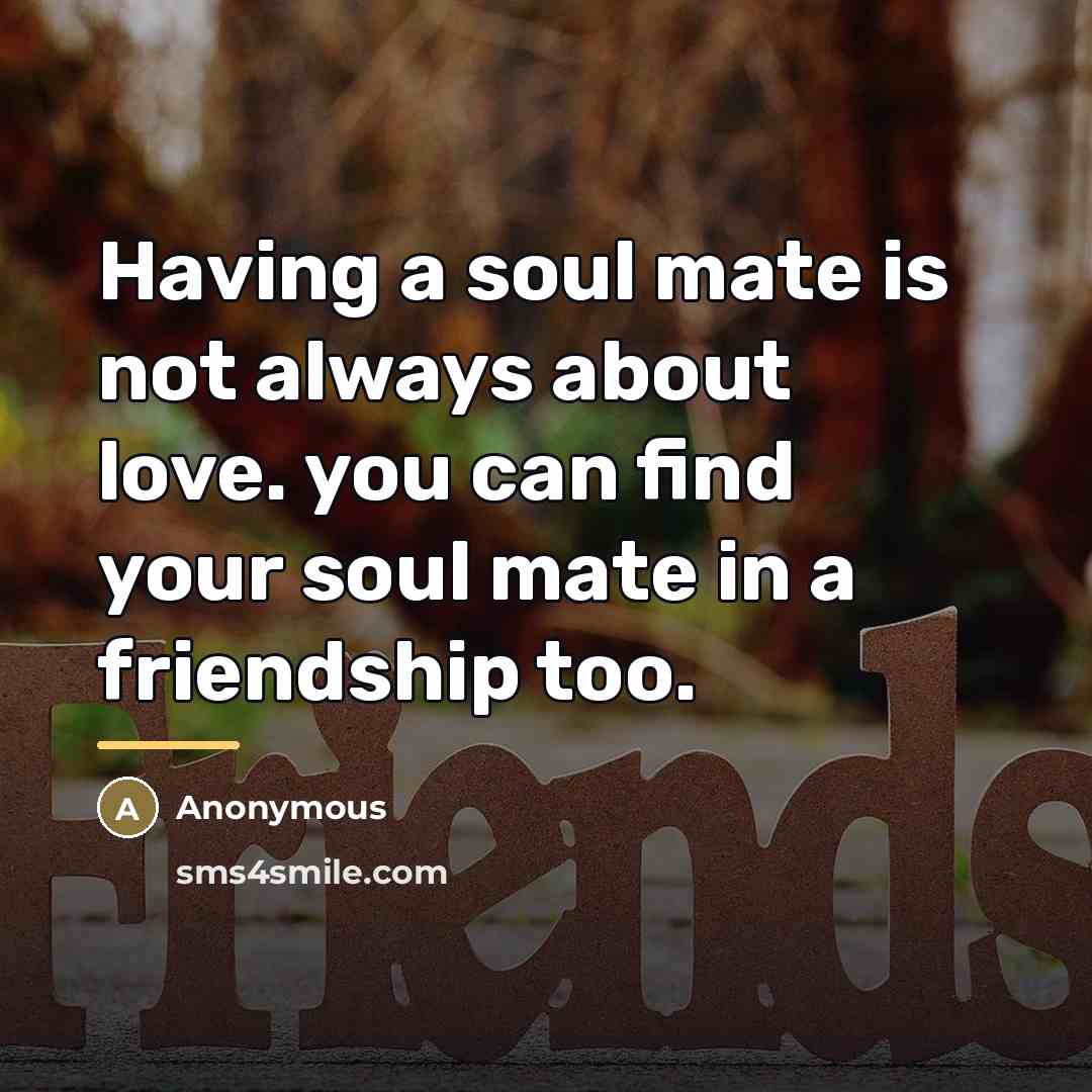 “Having a soul mate is not always about love. you…” quote by Anonymous