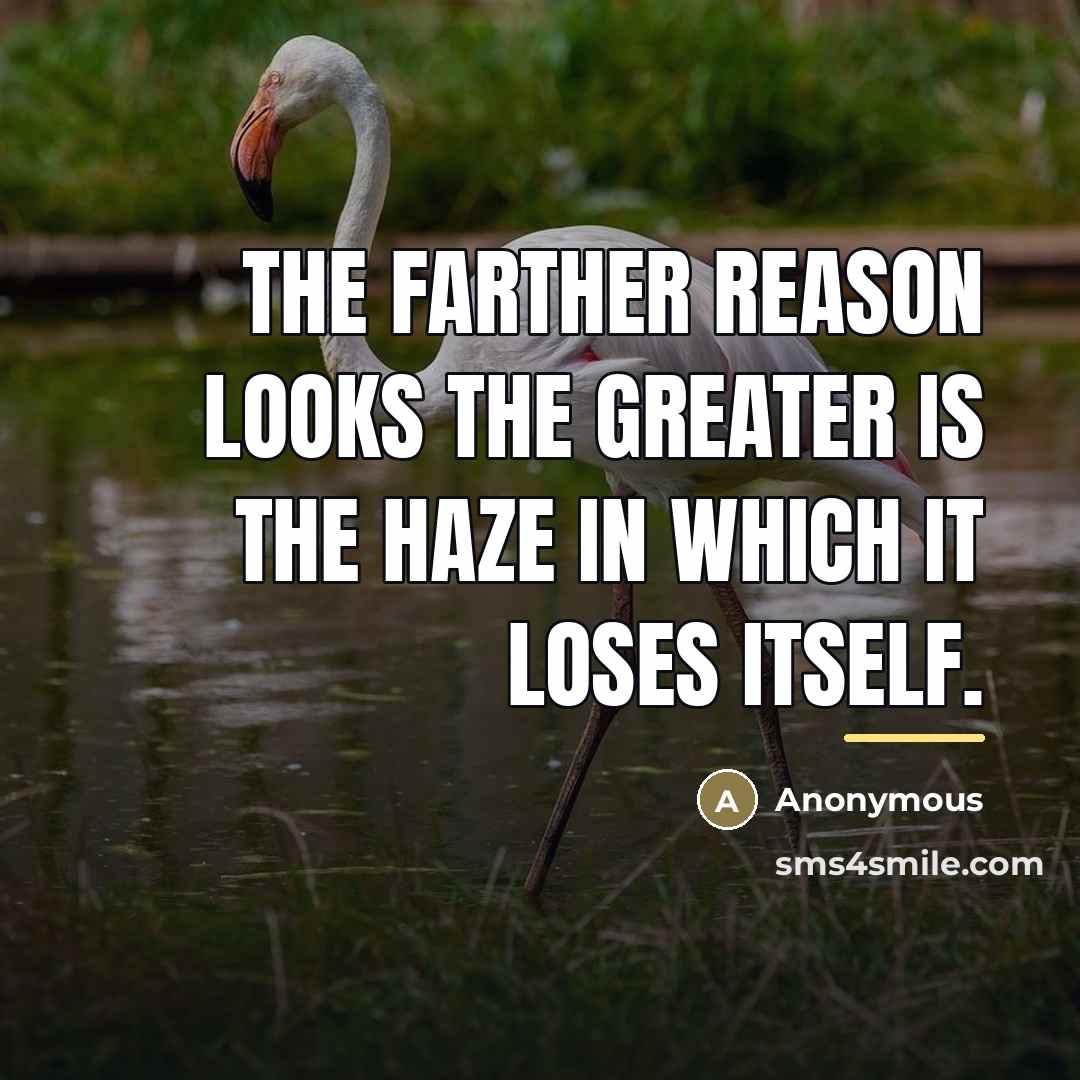 “The farther reason looks the greater is the haze in…” quote by Anonymous