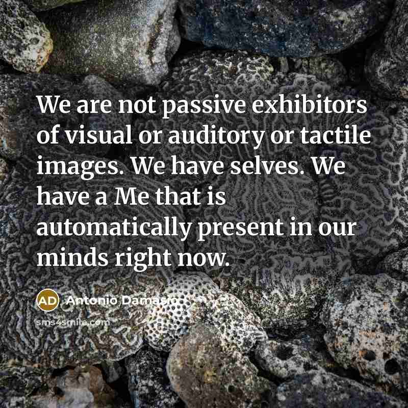 “We are not passive exhibitors of visual or auditory or…” quote by Antonio Damasio