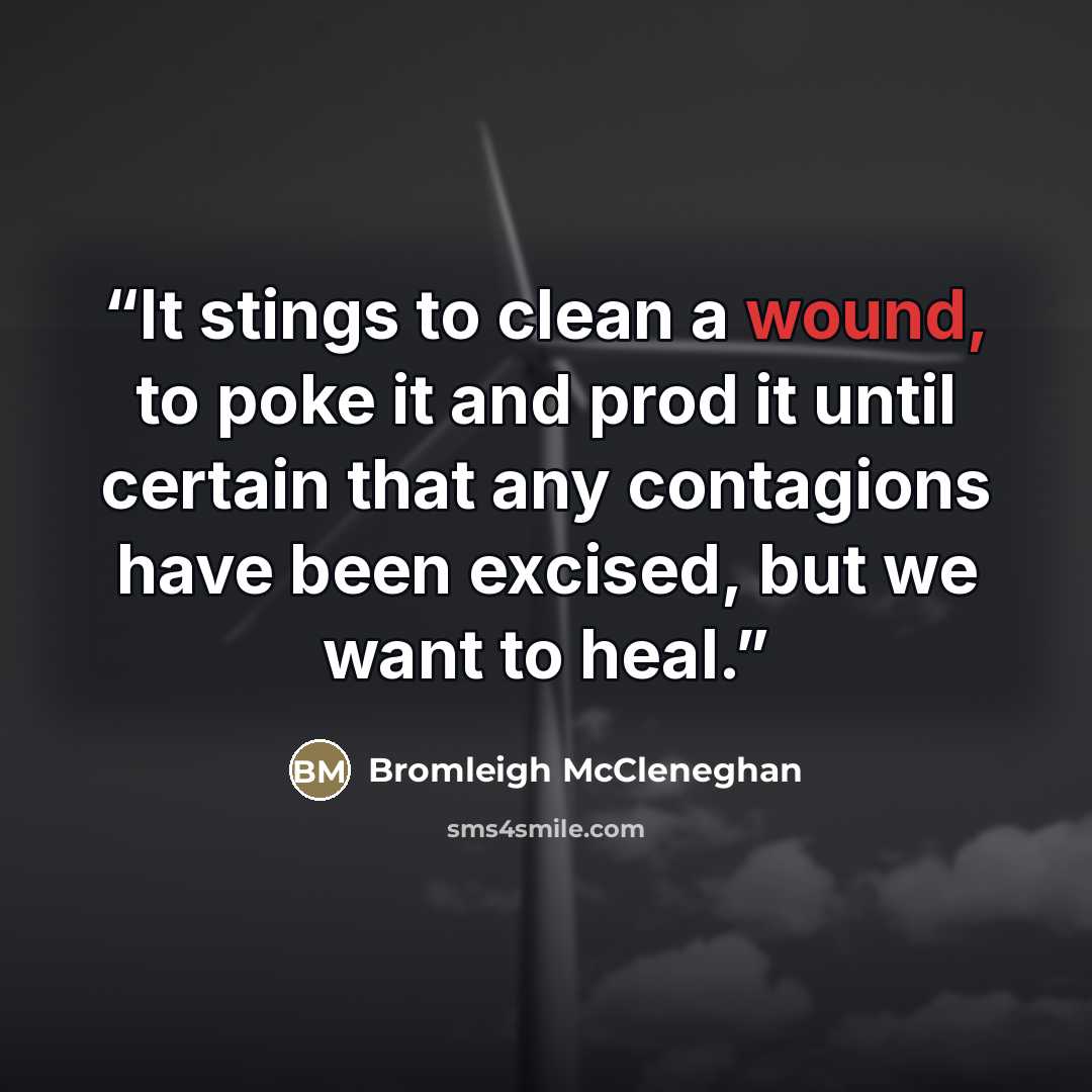 “It stings to clean a wound, to poke it and prod it until certain that any contagions have been excised, but we want to heal.” quote by Bromleigh McCleneghan