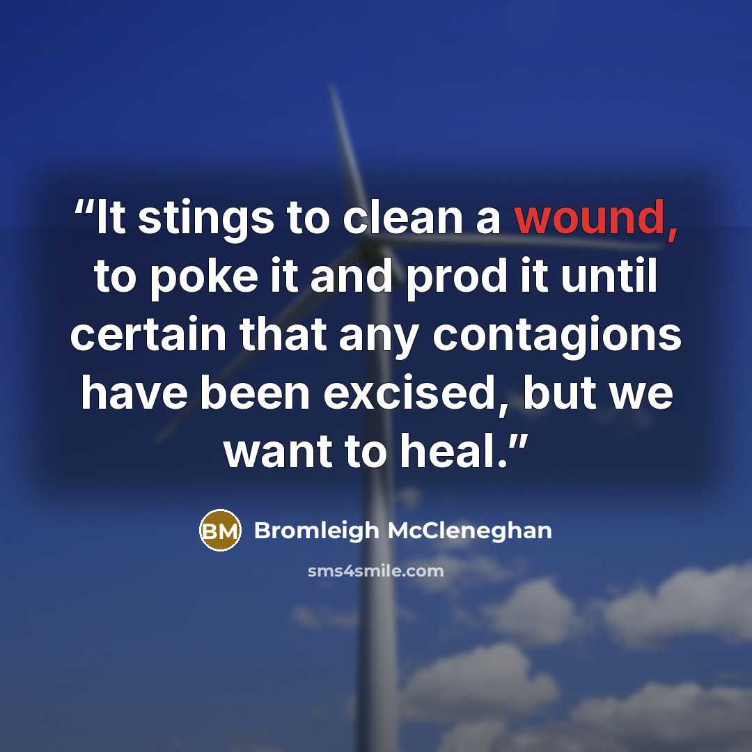 “It stings to clean a wound, to poke it and prod it until certain that any contagions have been excised, but we want to heal.” quote by Bromleigh McCleneghan