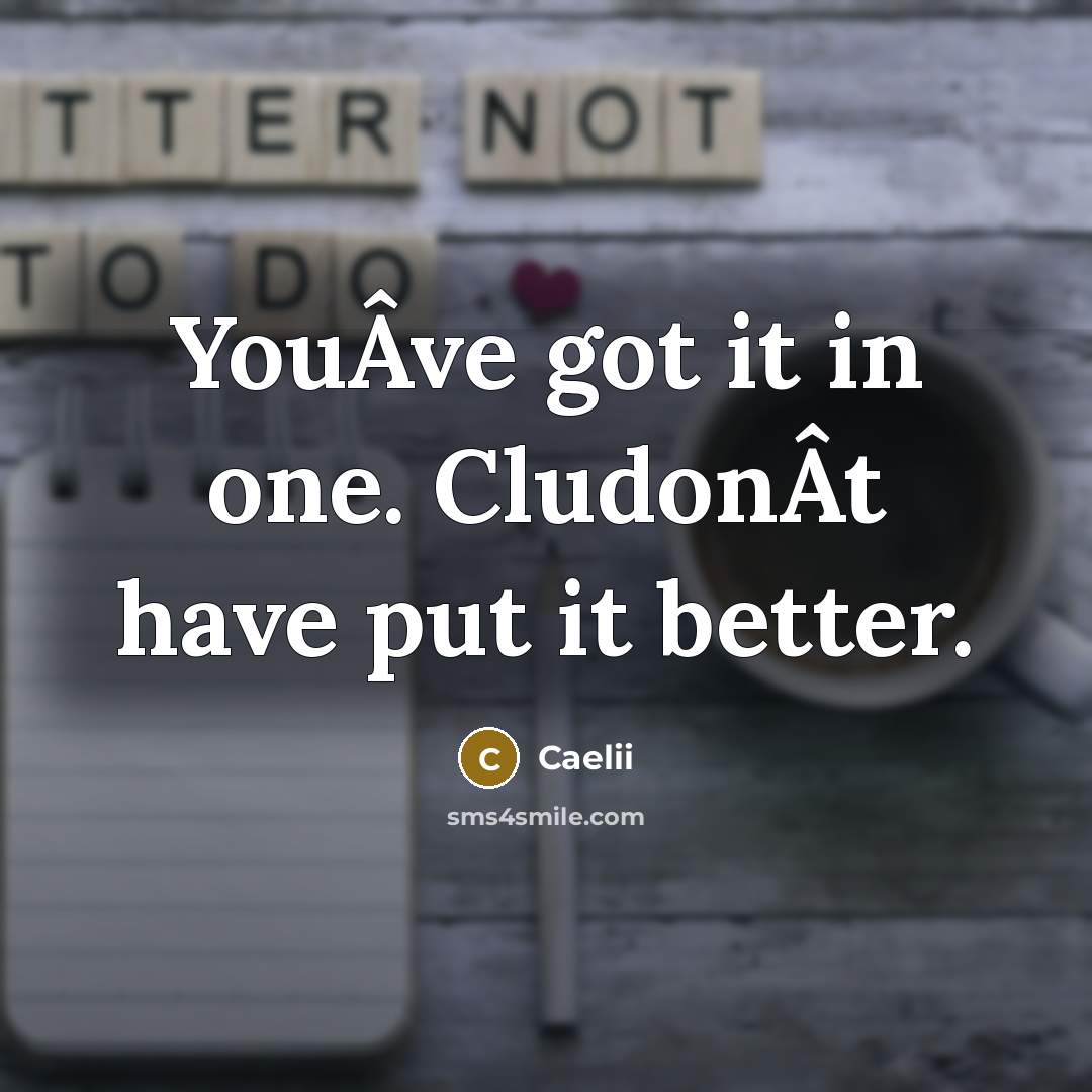 “YouÂve got it in one. CludonÂt have put it better.” quote by Caelii