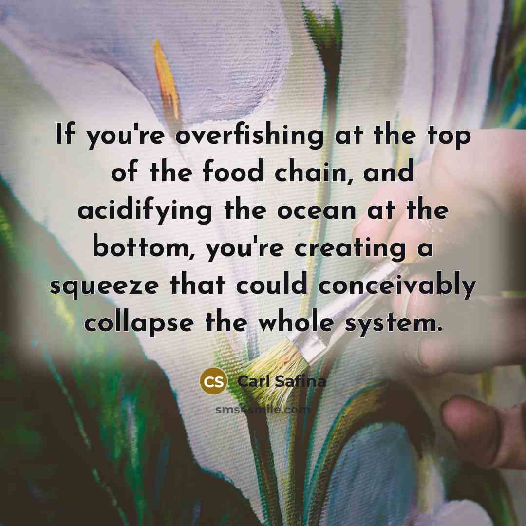 “If you're overfishing at the top of the food chain,…” quote by Carl Safina