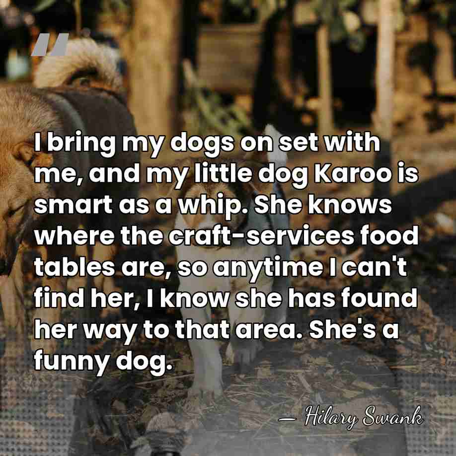 I bring my dogs on set with me, and my little dog&hellip; - Hilary Swank