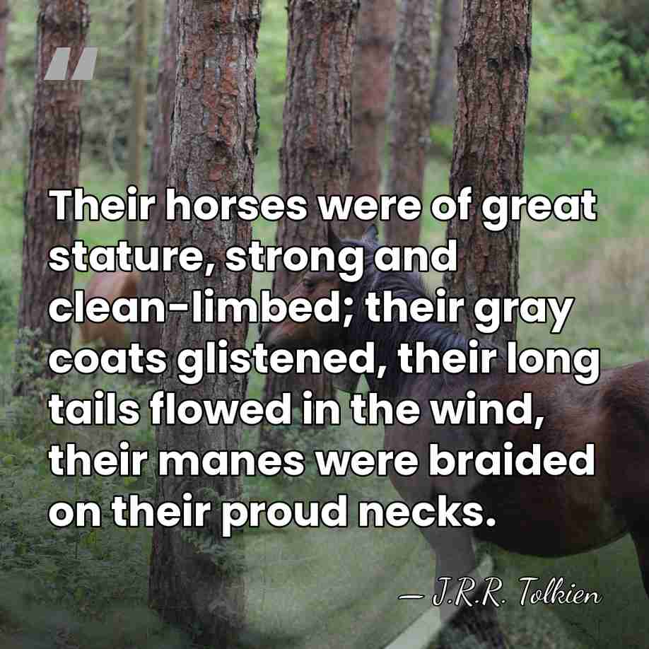 Their horses were of great stature, strong and clean-limbed; their gray coats&hellip; - J.R.R. Tolkien
