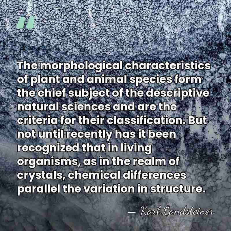 The morphological characteristics of plant and animal species form the chief subject&hellip; - Karl Landsteiner