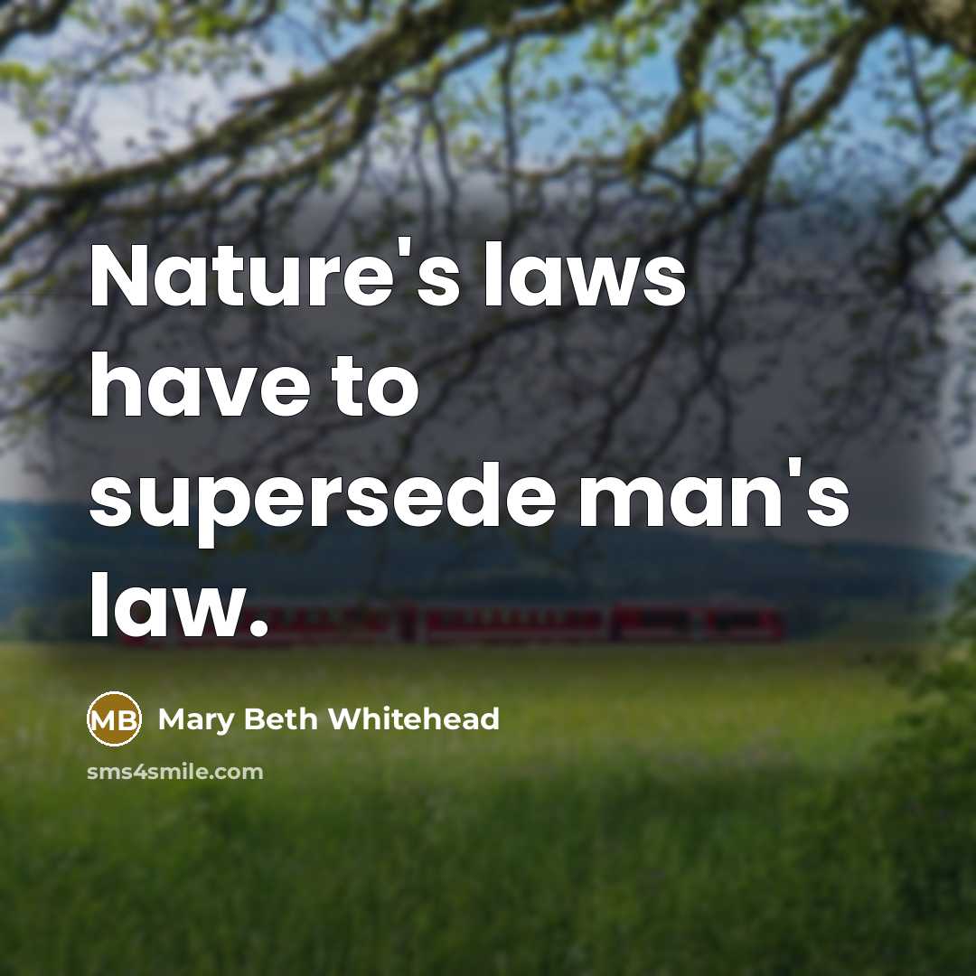 “Nature's laws have to supersede man's law.…” quote by Mary Beth Whitehead
