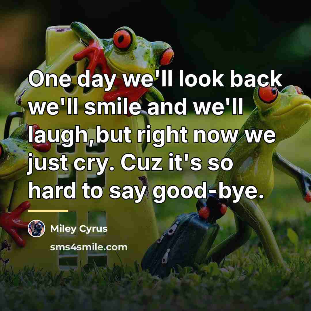 “One day we'll look back we'll smile and we'll laugh,but…” quote by Miley Cyrus