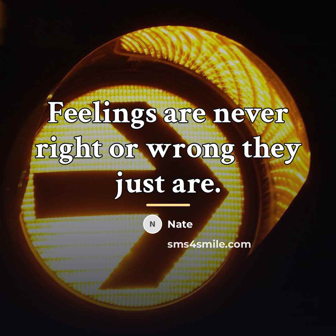 “Feelings are never right or wrong they just are.…” quote by Nate