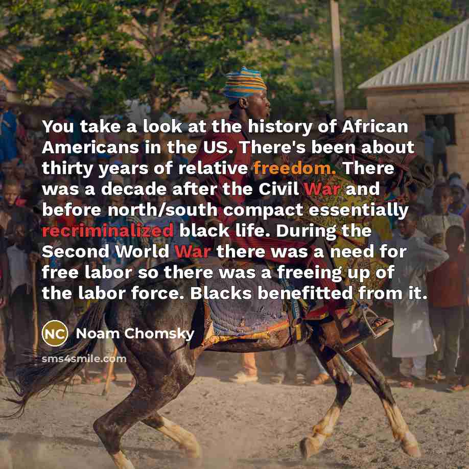 “You take a look at the history of African Americans…” quote by Noam Chomsky