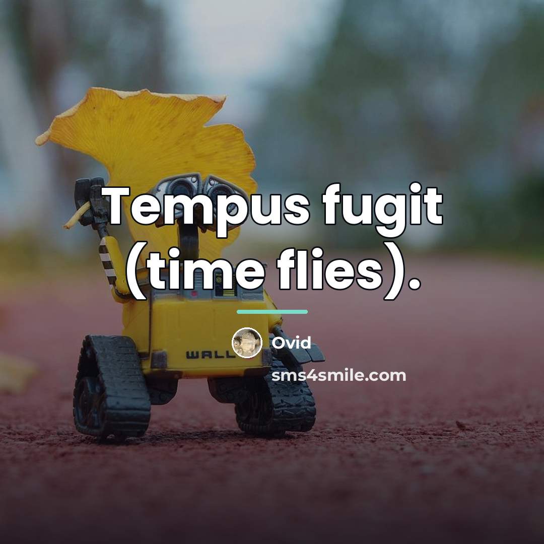 “Tempus fugit (time flies).…” quote by Ovid