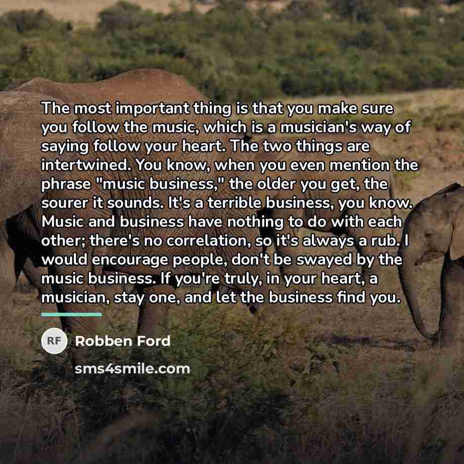 “The most important thing is that you make sure you…” quote by Robben Ford