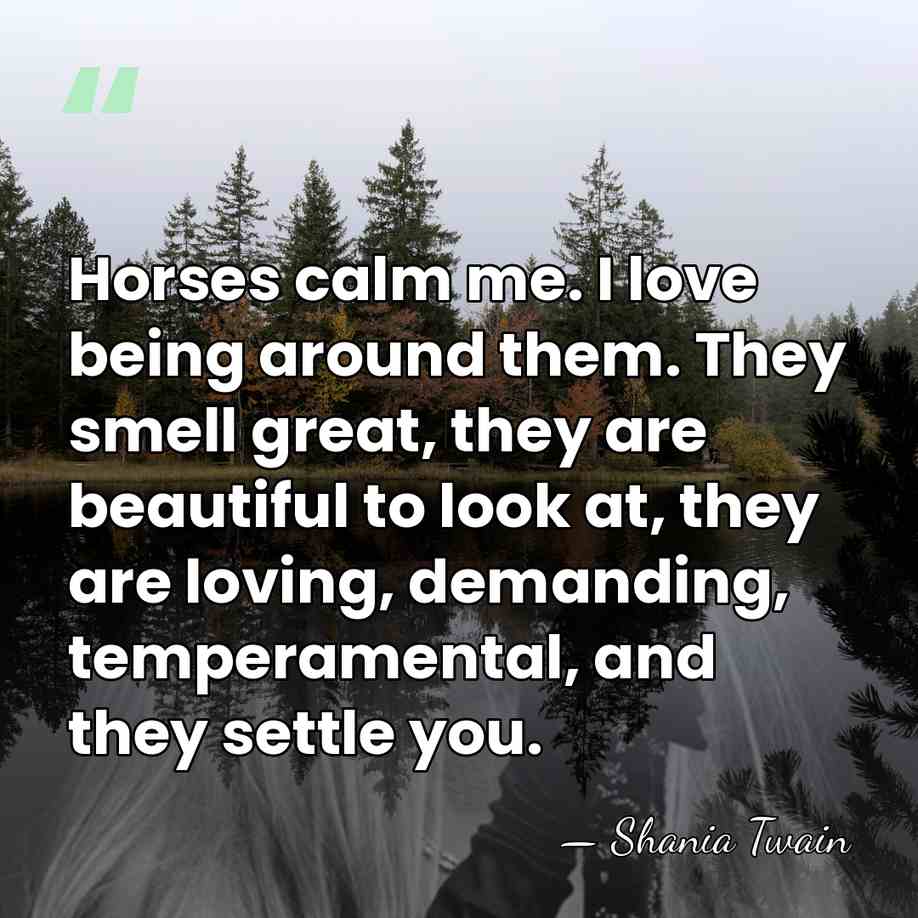 Horses calm me. I love being around them. They smell great, they&hellip; - Shania Twain