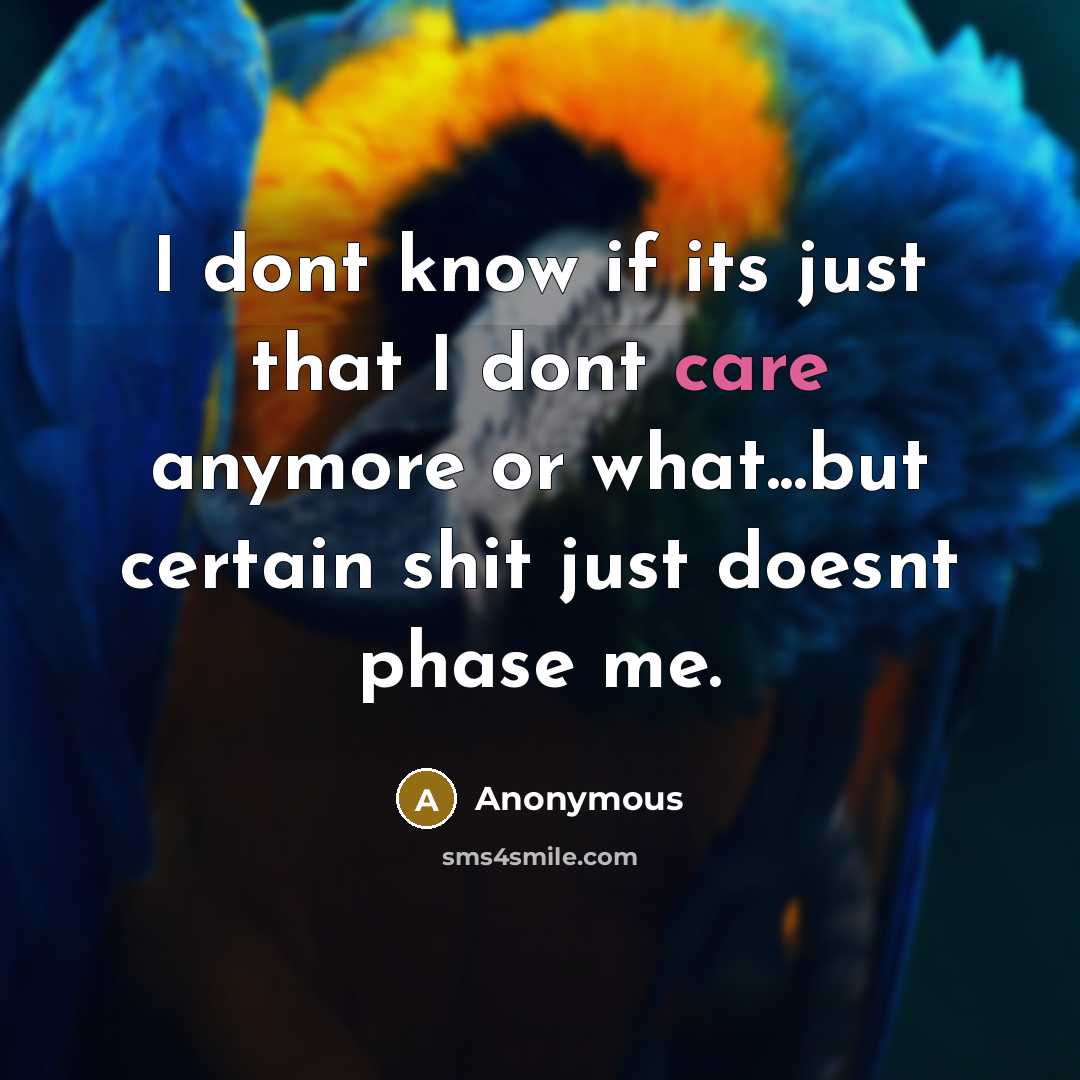 “I dont know if its just that I dont care anymore or what...but certain shit just doesnt phase me.” quote by Anonymous